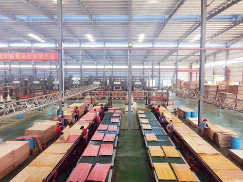 啟陽新材料 勇立潮頭，成為貴港首家獲全國工業產品生產許可證的飼料原料銷售企業